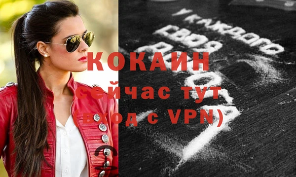 прущие грибы Осинники