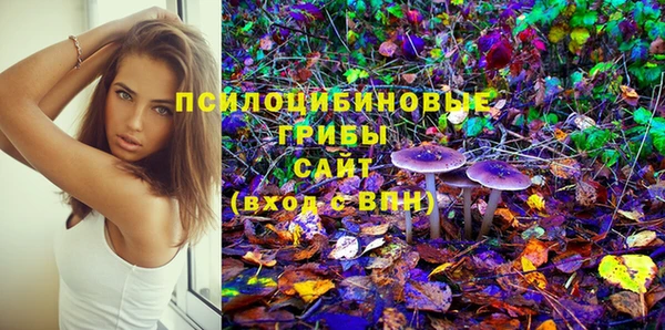 гашик Балабаново