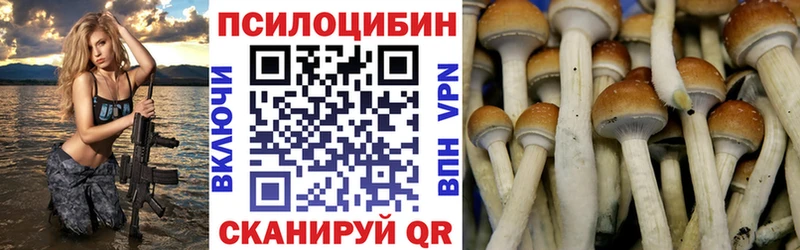 Псилоцибиновые грибы мицелий  продажа наркотиков  Шелехов 